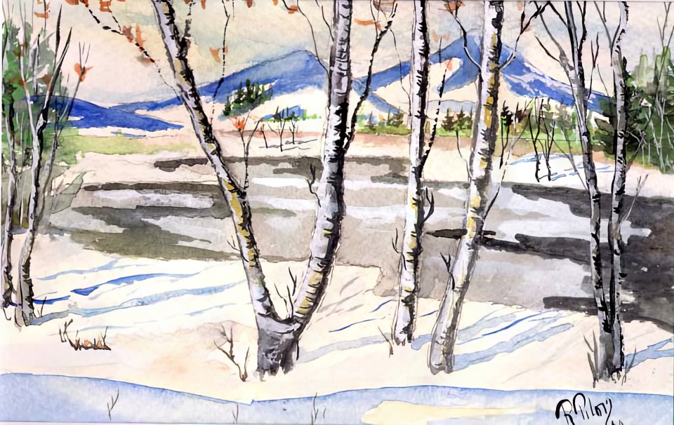 Lac_glace_1990