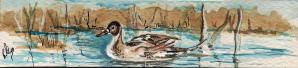 signet_canard