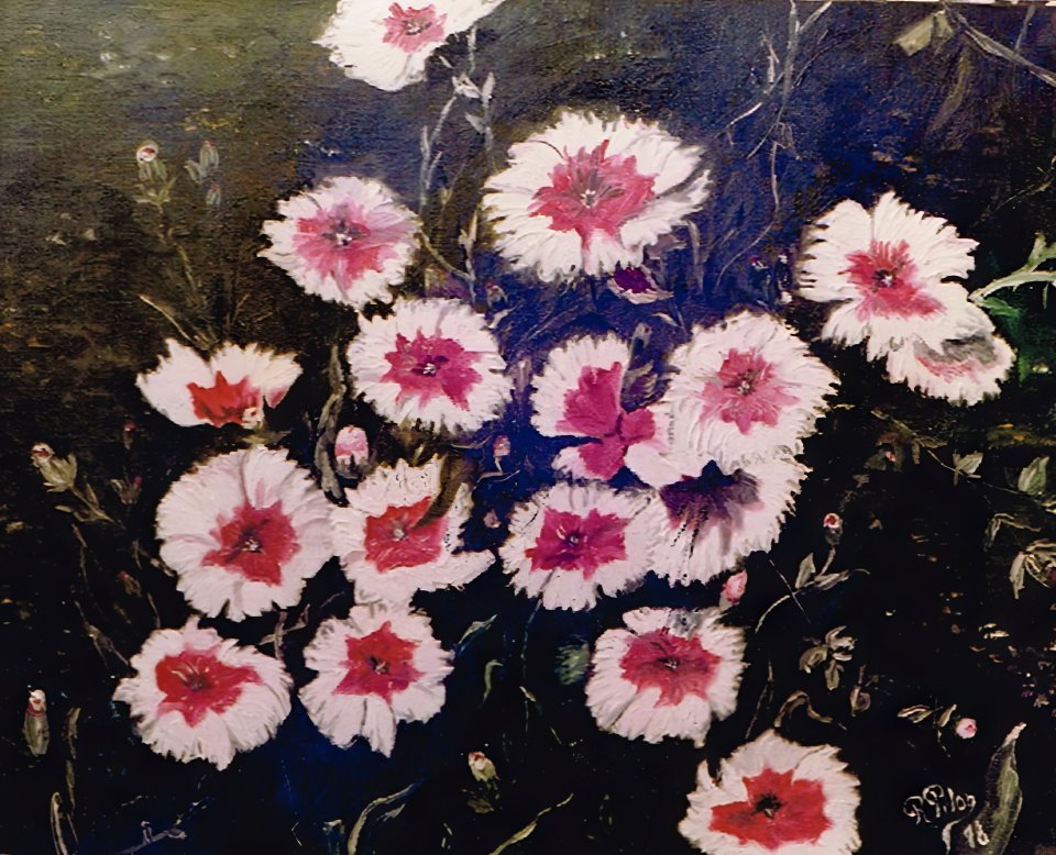 Fleurs du Jardin Botanique de Montréal 1978